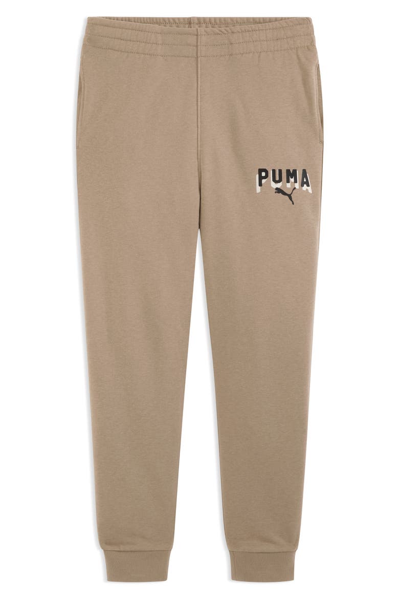 Kids' Class Pack Cotton Blend French Terry Joggers, Main, color, PALE BROWN