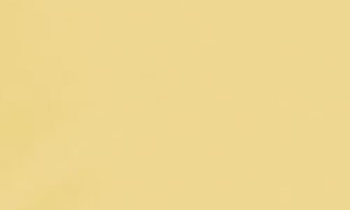 Princess Polly Whimsy Lemon Crop Halter Top