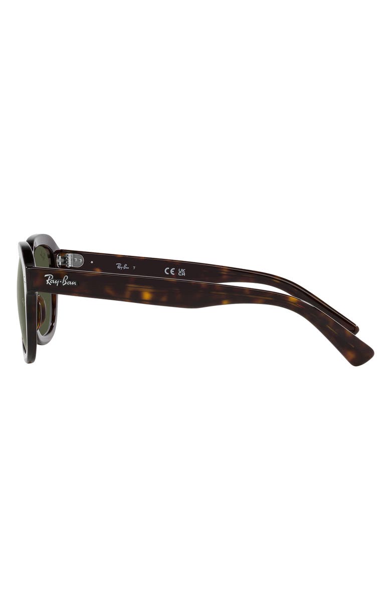 Ray-Ban Erik 53mm Square Sunglasses, Alternate, color, Havana