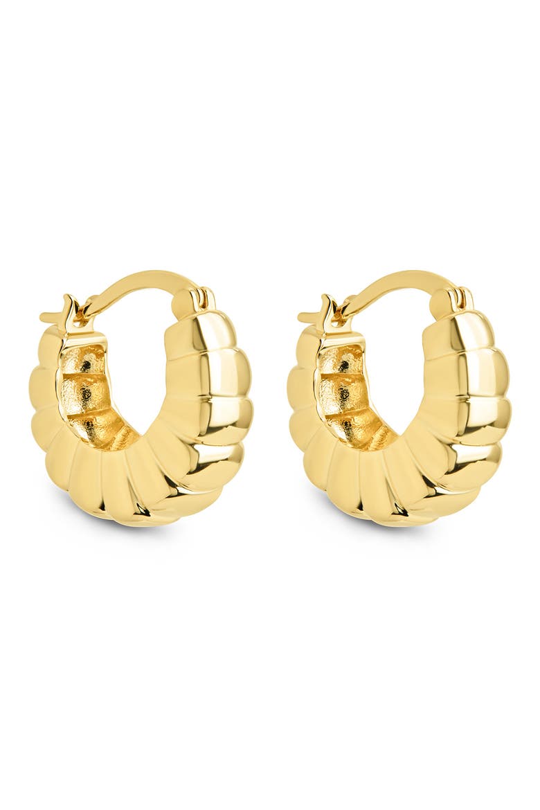 Lysandra Bubble Hoop Earrings video