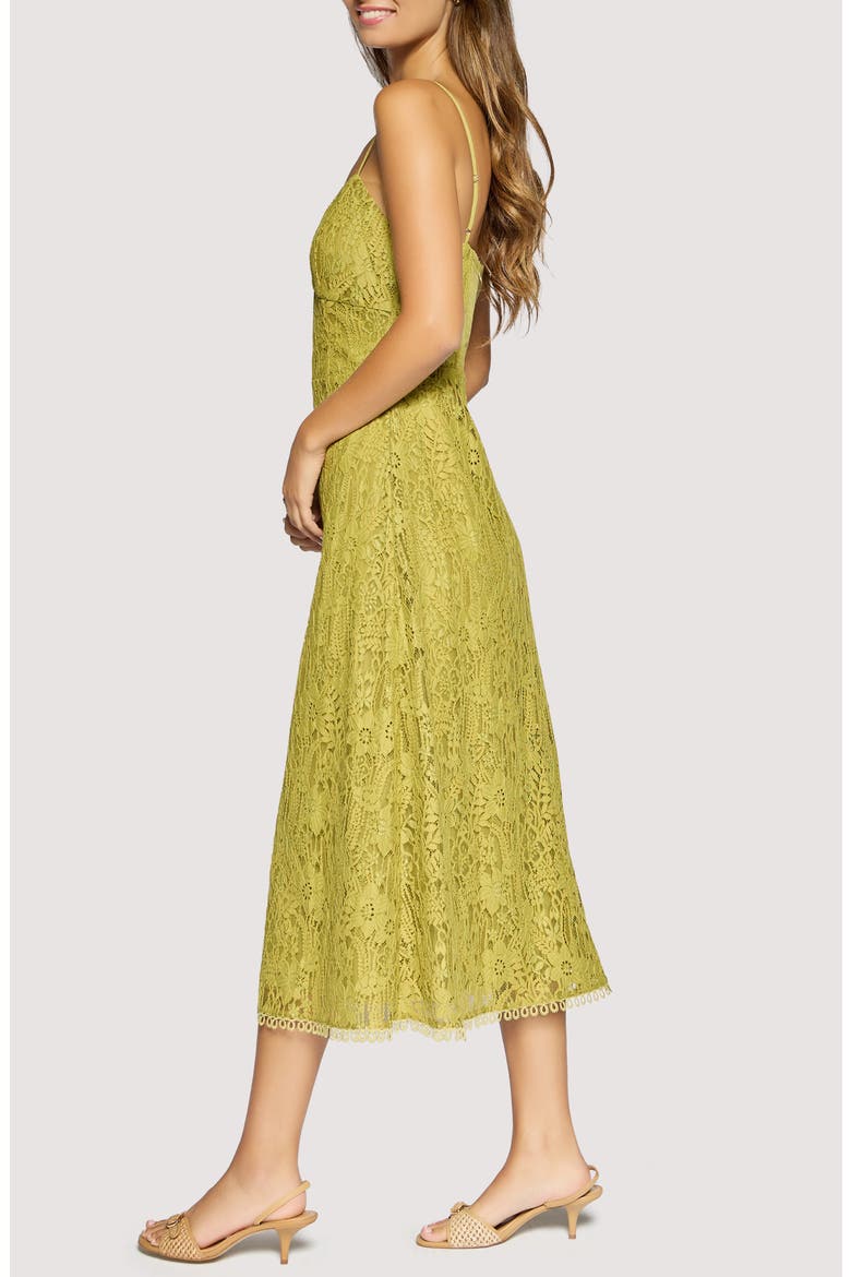 Serafina Floral Lace Cotton Blend Midi Dress, Alternate, color, GREEN