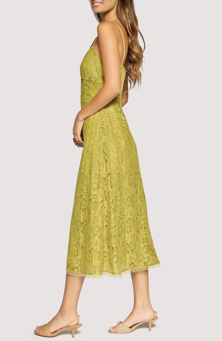 Lost + Wander Serafina Floral Lace Cotton Blend Midi Dress, Alternate, color, Green