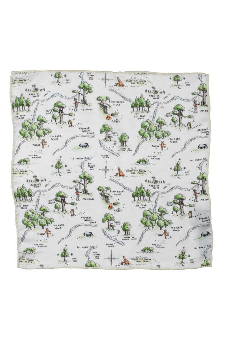 Winnie the Pooh Map Silk Pocket Square, Alternate, color, WHITE