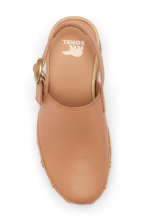 Sorel Roman Leather Slingback Platform Clogs In Tawny Buff/gum