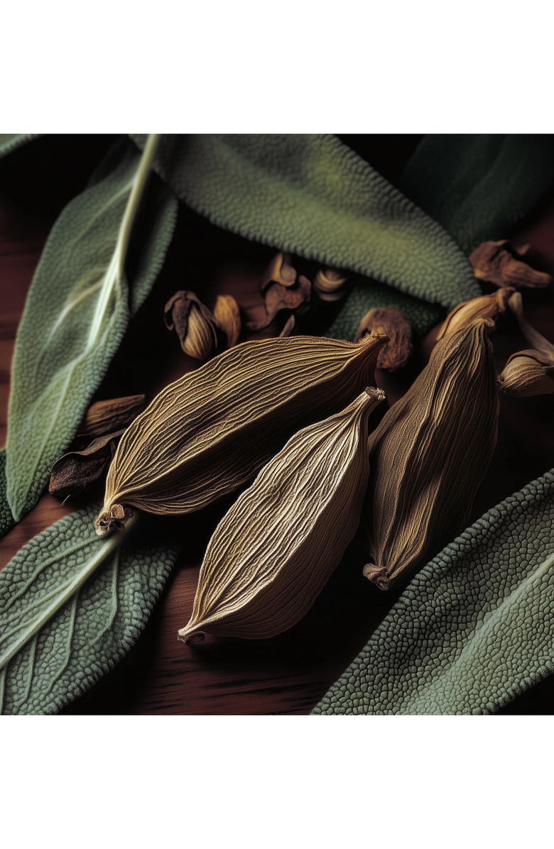 House of Sillage x Harry Potter Hogwarts Slytherin Parfum, Alternate, color, 