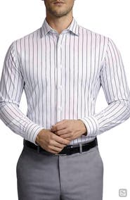 Tahari Stripe Cotton Dress Shirt