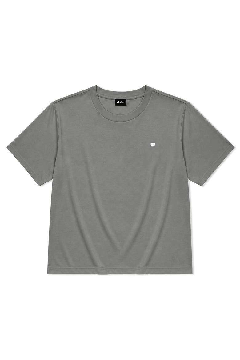 Lil Heart Relaxed Midweight Jersey Tee, Main, color, Shadow