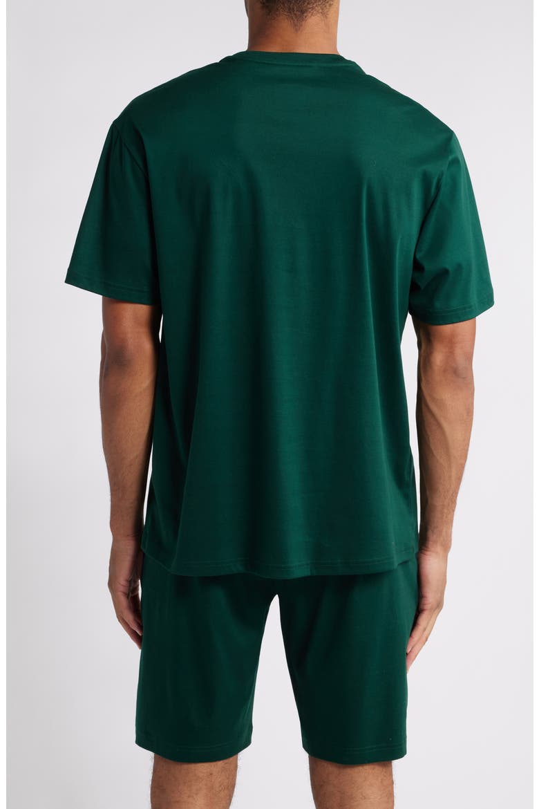 Mercerized Cotton Sleep T-Shirt, Alternate, color, MOS AGT/CN PP