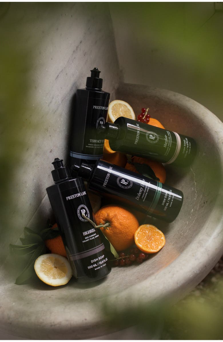 Preston Lane Highrise Dish Soap, Alternate, color, Highrise