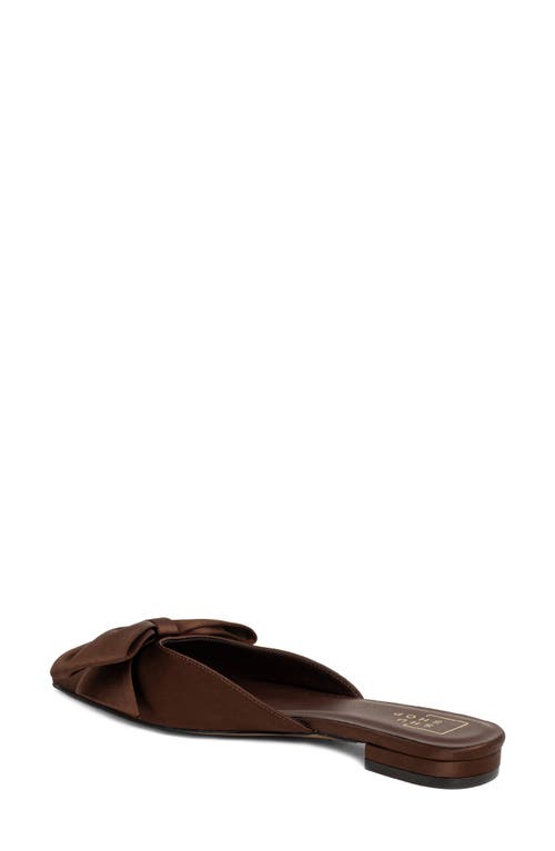 Shushop Dorothy Pointed Toe Flat In Brown
