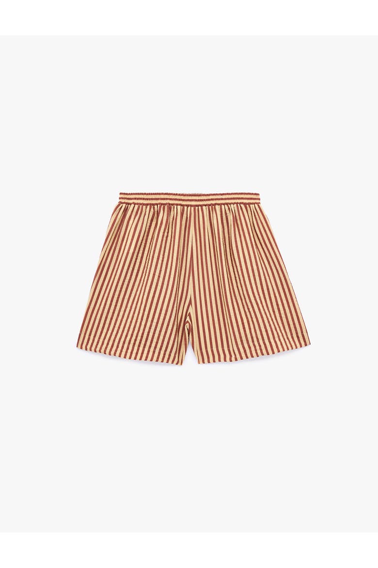Regular Fit Striped Mini Shorts, Alternate, color, BROWN STRIPE