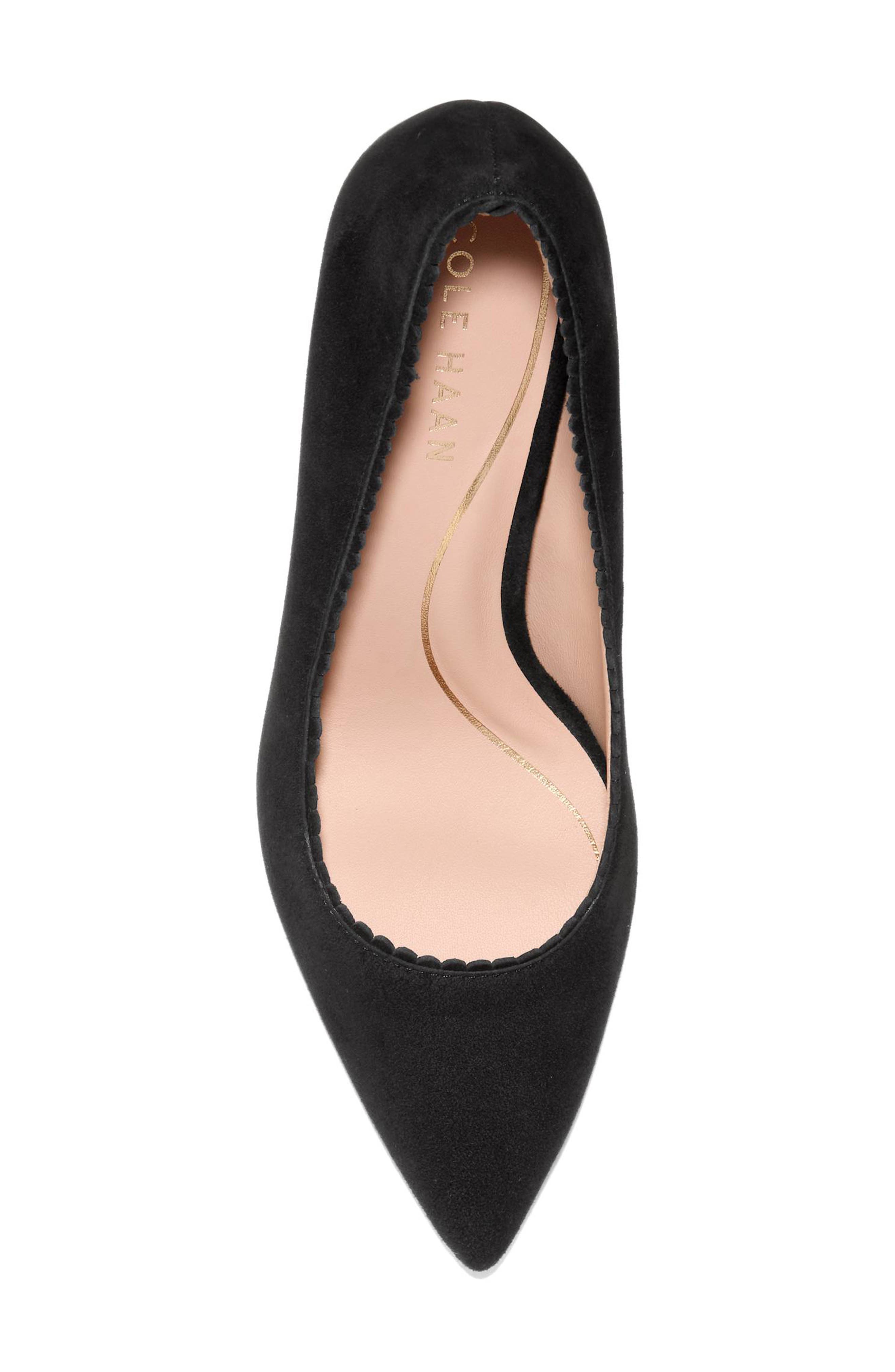 Cole Haan Bellport Pointed Toe Pump, Alternate, color, Black Suede