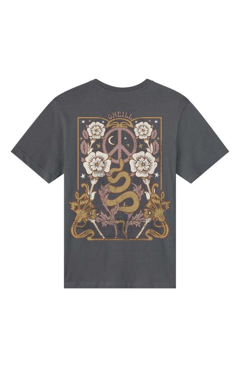 O'Neill Adorned Graphic Oversized T-Shirt, Alternate, color, Phantom