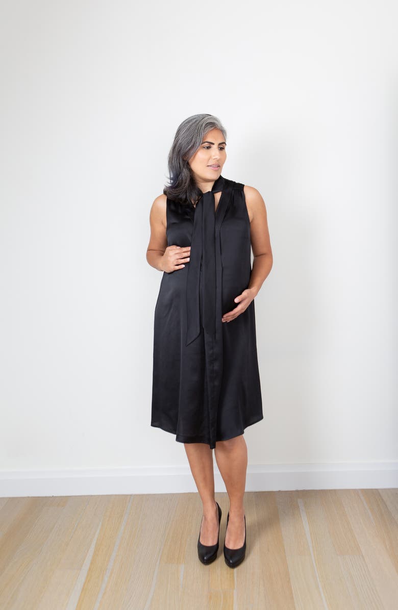 Emilia George Zena Maternity/Nursing Dress, Alternate, color,