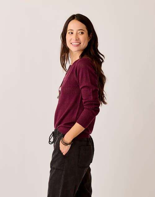 Cave Designs Amara Pointelle Sweater In Burgundy