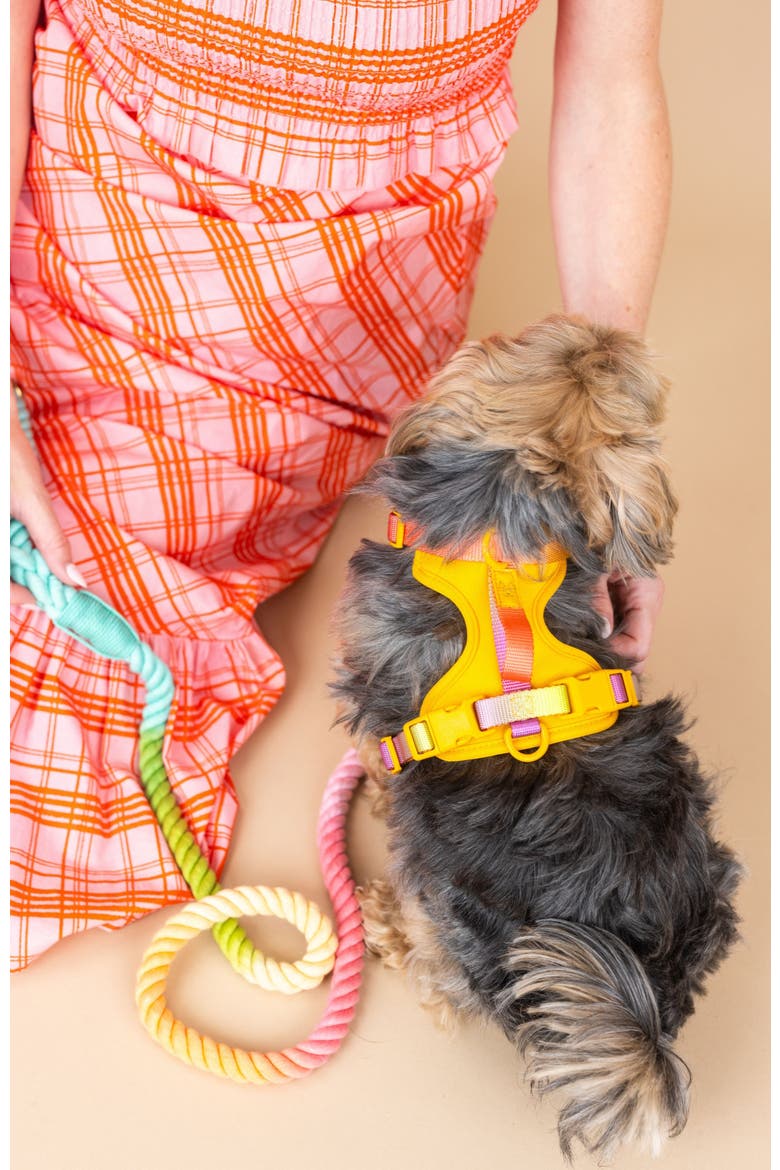 Kenna Dog Harness, Alternate, color, Kenna