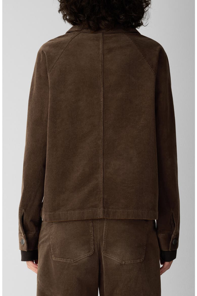 Classic Collar Corduroy Jacket, Alternate, color, HAZELWOOD