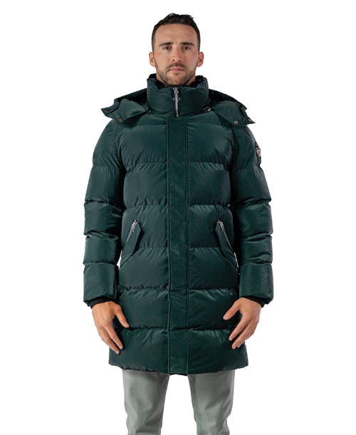 Woodpecker Penguin Long Length Quilted Coat In Green