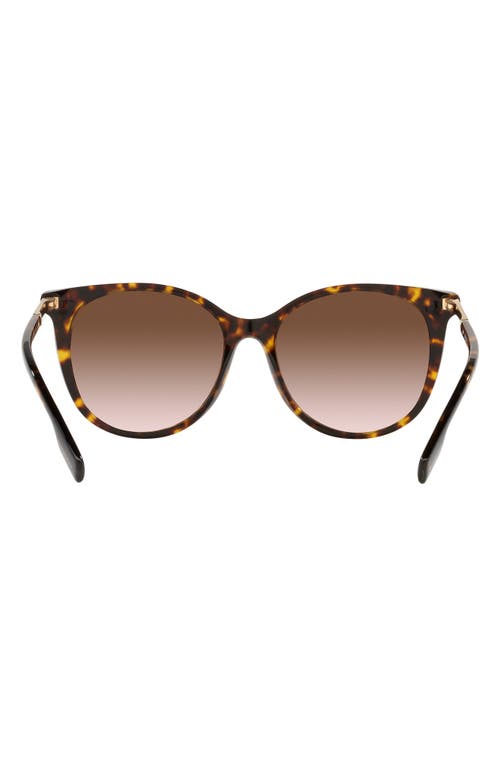 Burberry Alice Brown Gradient Cat Eye Ladies Sunglasses Be4333 300213 55 In Brown