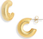Electric Picks West Hoop Earrings