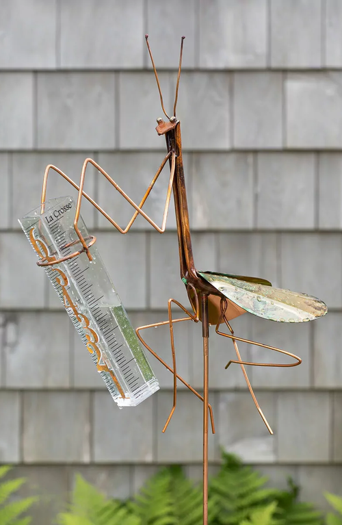 Uncommon Goods Praying Mantis Rain Gauge In Copper