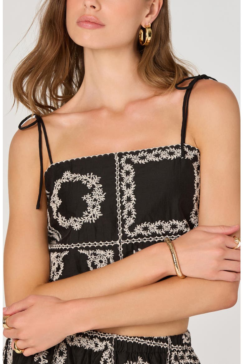 Tie Strap Mosaic Embroidery Crop Top, Alternate, color, BLACK EMBROIDERY
