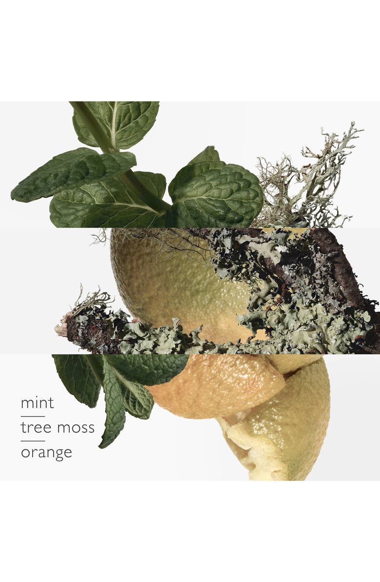 Hermès Eau d'orange verte - Eau de cologne, Alternate, color, 