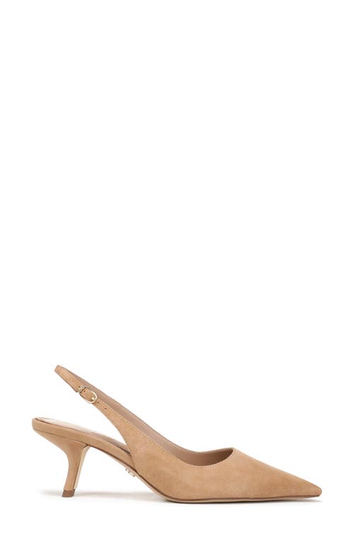 Sam Edelman Bianka Pointed Toe Slingback Pump In Brown