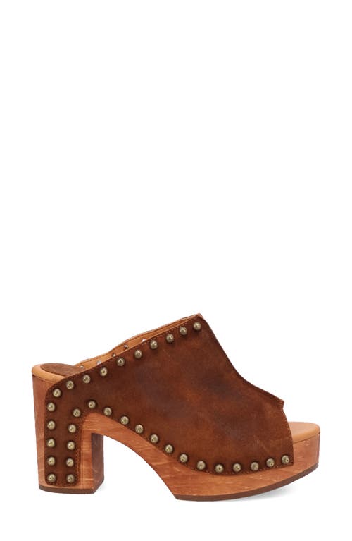 Dingo Echo Clog