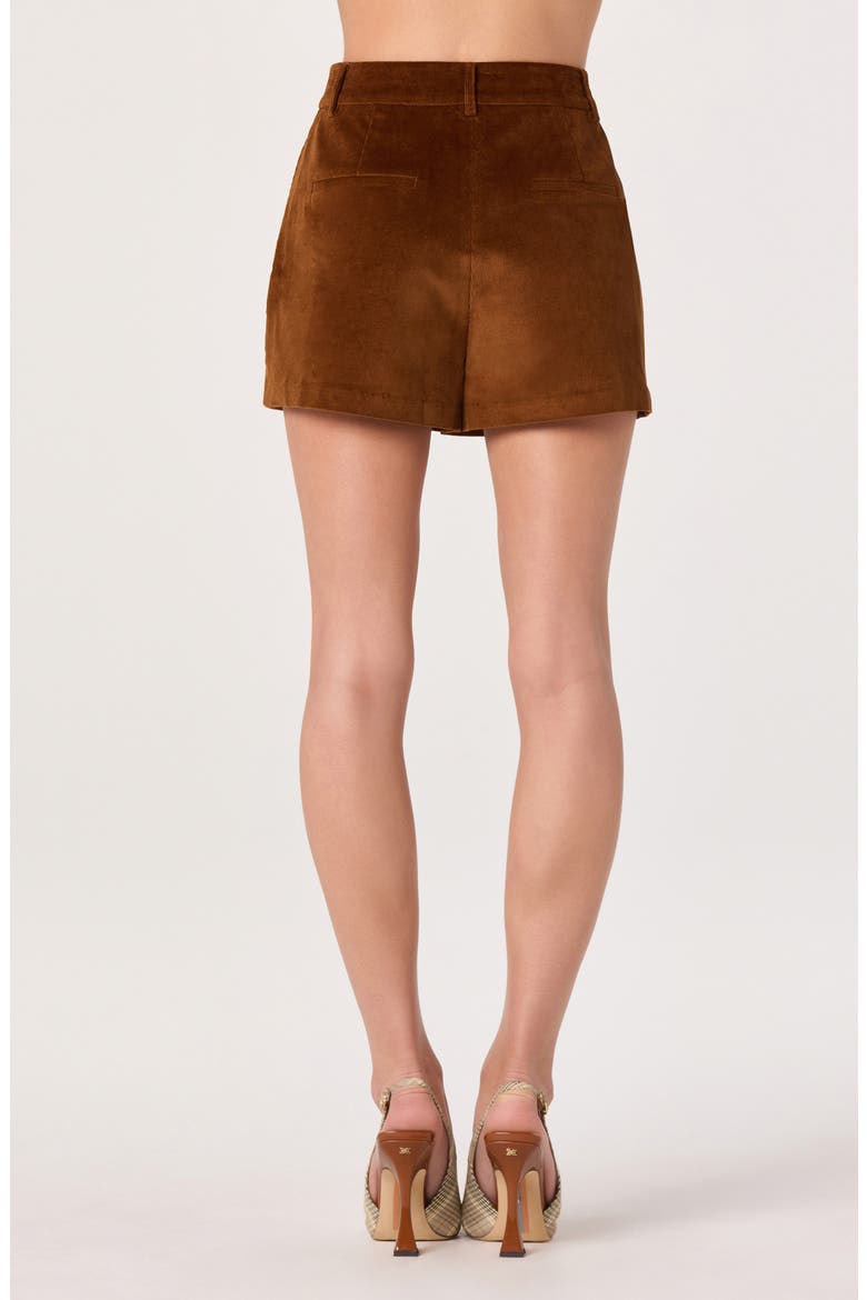 High Waist Corduroy Shorts, Alternate, color, NUTMEG