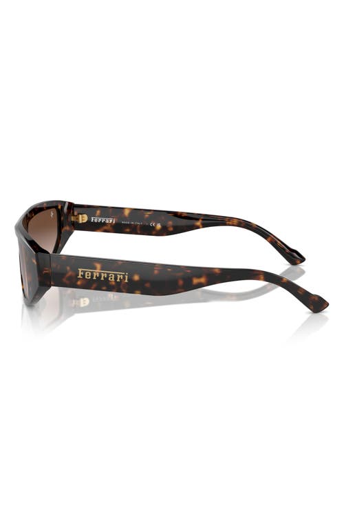 Scuderia Ferrari 125mm Rectangular Shield Sunglasses In Brown