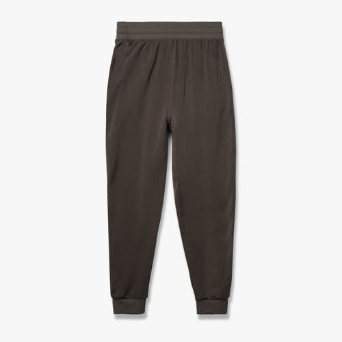 Feat Treecell Plush Jogger In Asphalt