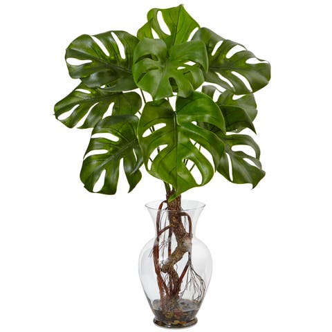 26-in Monstera Plant in Rocks with Glass Vase