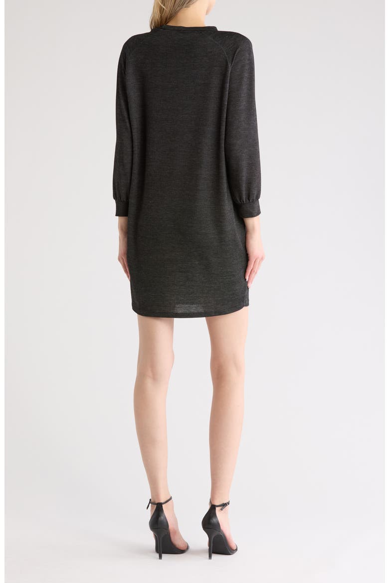 Relax With Me Long Sleeve Sweater Dress, Alternate, color, TWO-TONE BLACK