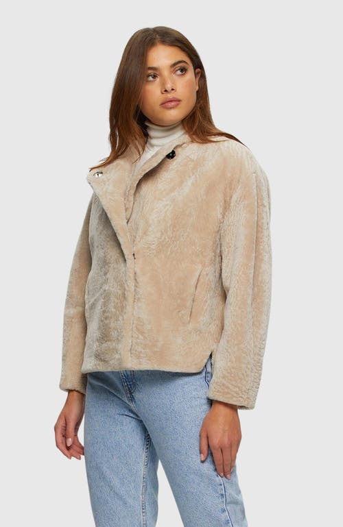 Gorski Textured Shearling Lamb Jacket In Neutral