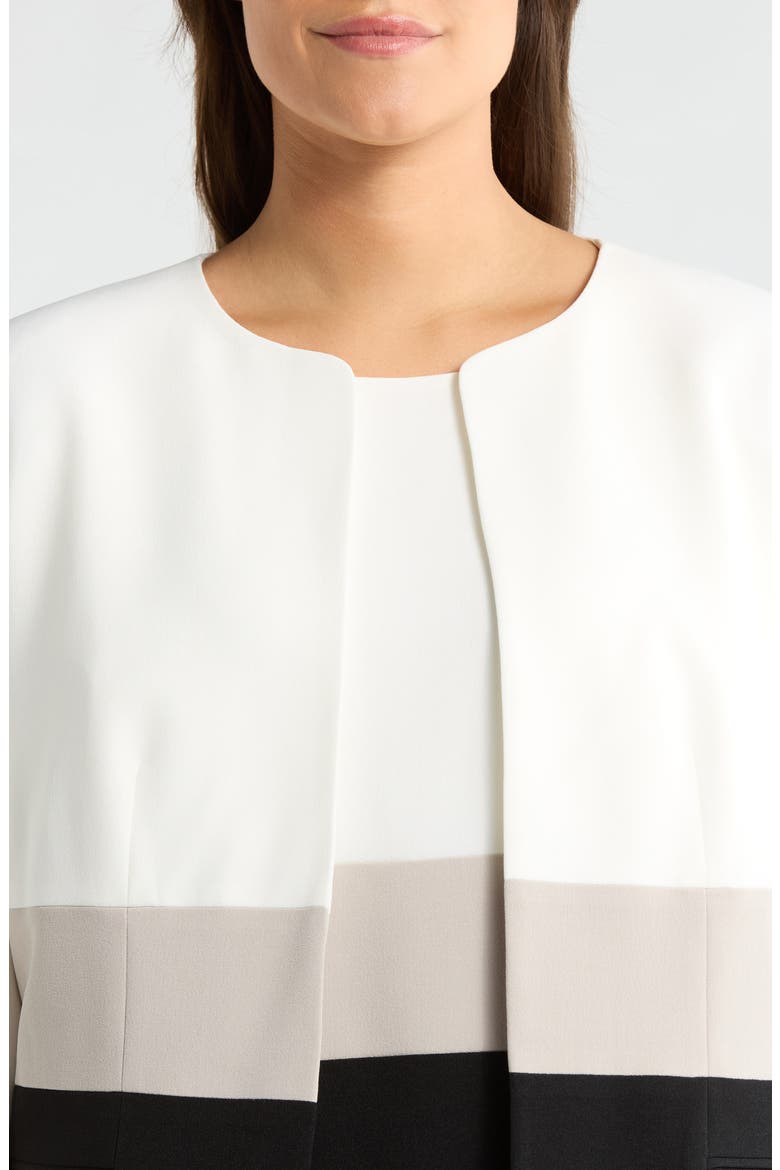 Colorblock Open Front Cardigan Jacket, Alternate, color, VANILLA ICE MULTI