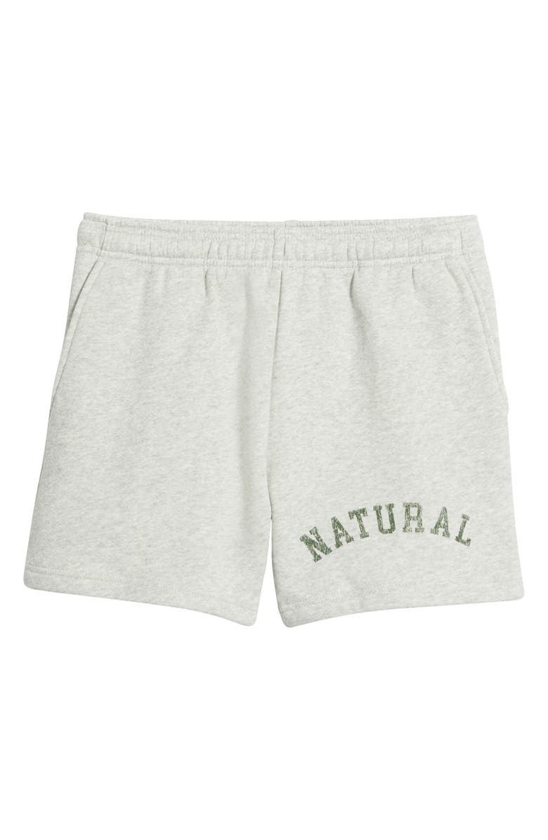 Museum of Peace & Quiet Arch Pigment Dyed Quarter Zip Graphic Sweat Shorts, Alternate, color, Ash