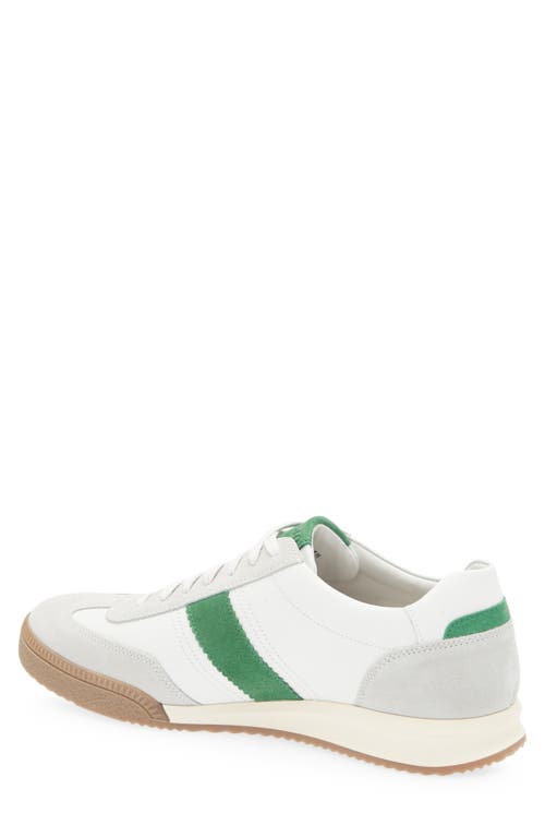 Mephisto Elyo Sneaker In Multi
