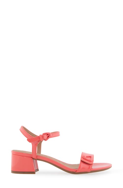 AEROSOLES AEROSOLES CAIRO BLOCK HEEL SANDAL 