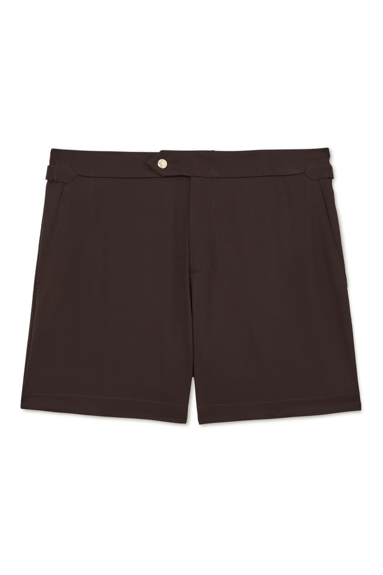 Sun Flat Front Swim Trunks, Alternate, color, CHOCOLATE BROWN