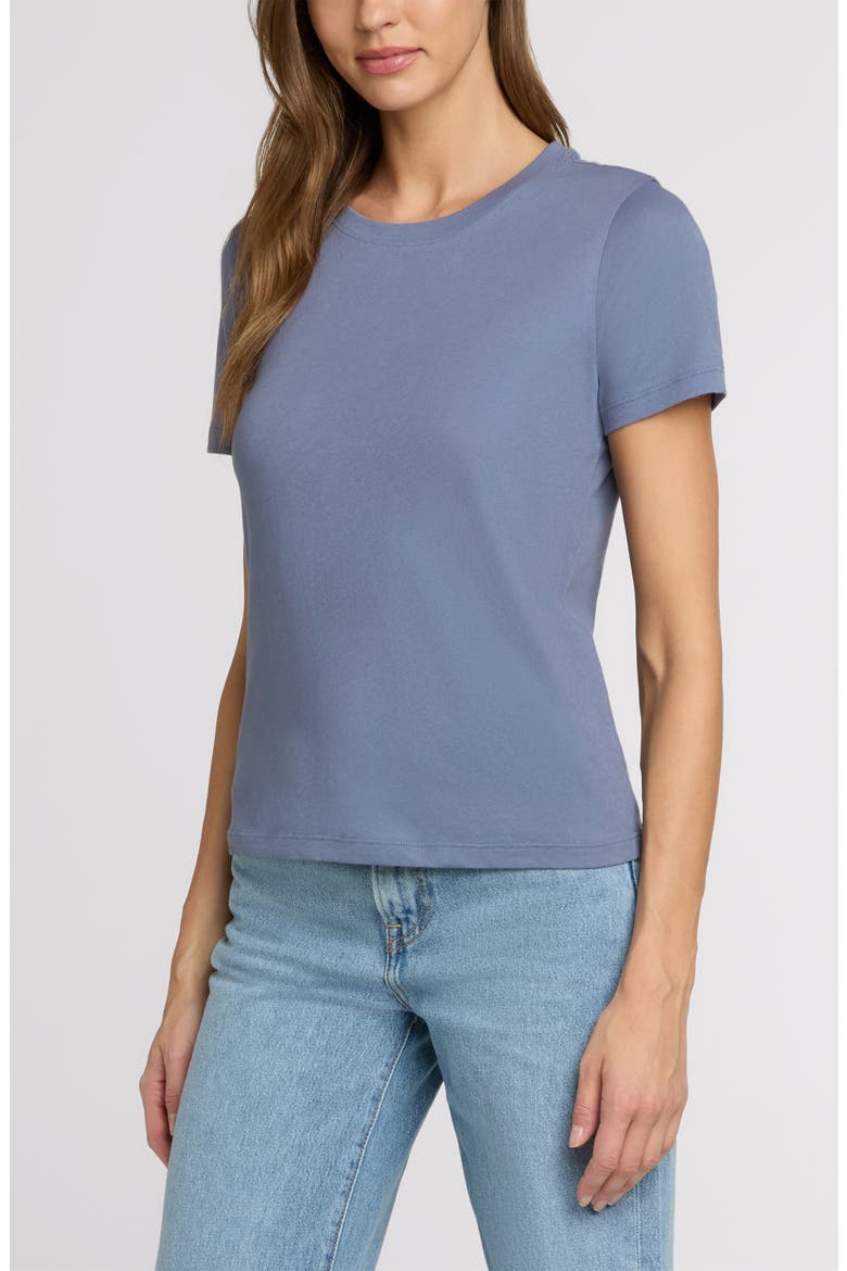 The Organic Cotton Crew Tee, Alternate, color, Steel Blue
