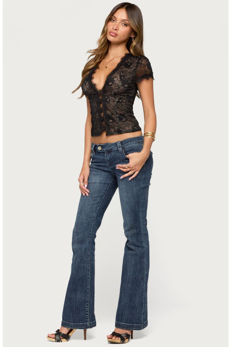 Chai Sheer Lace V-Neck Top, Alternate, color, BLACK