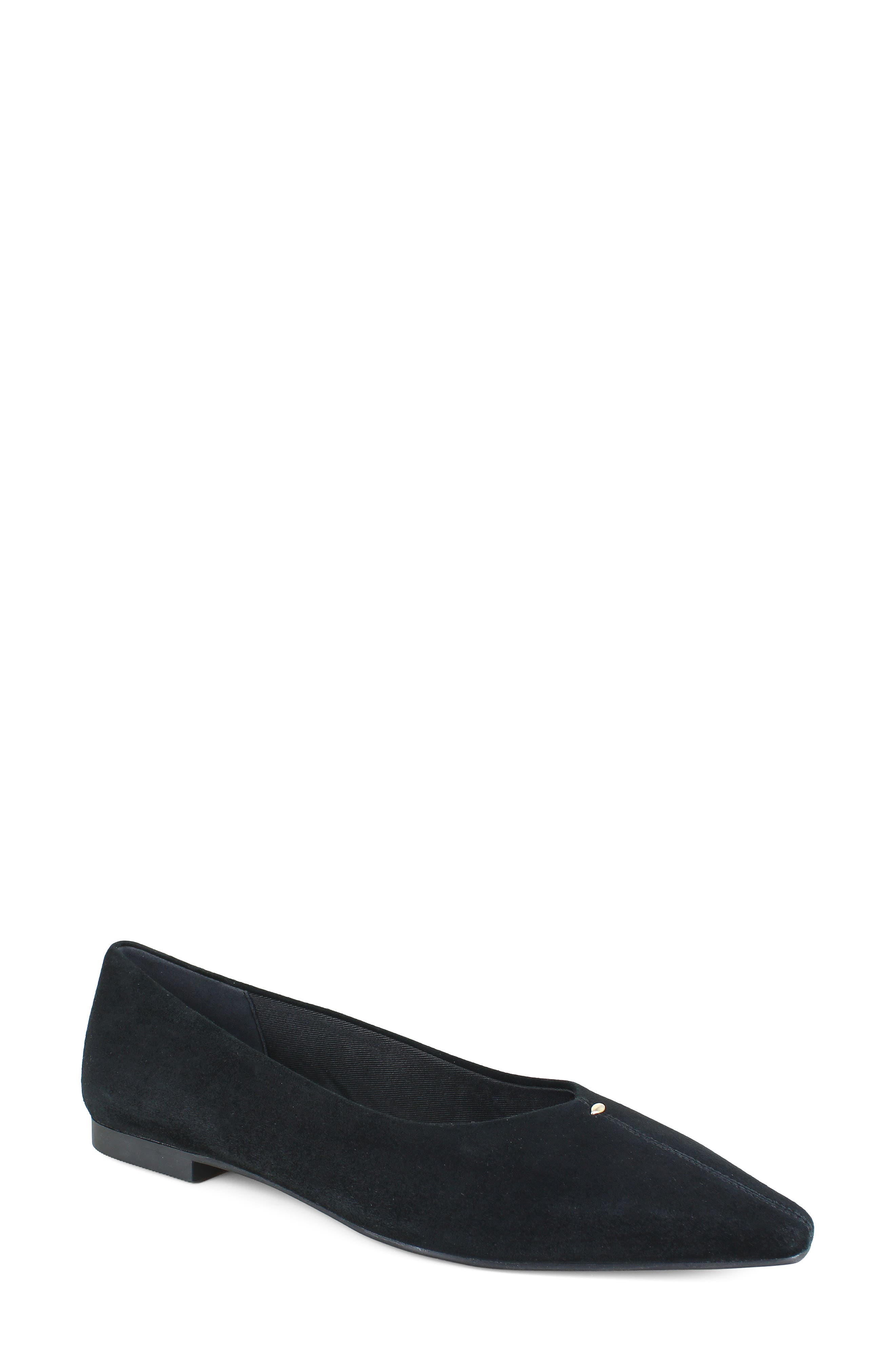 Nala Pointed Toe Flat, Main, color, BLACK SUEDE