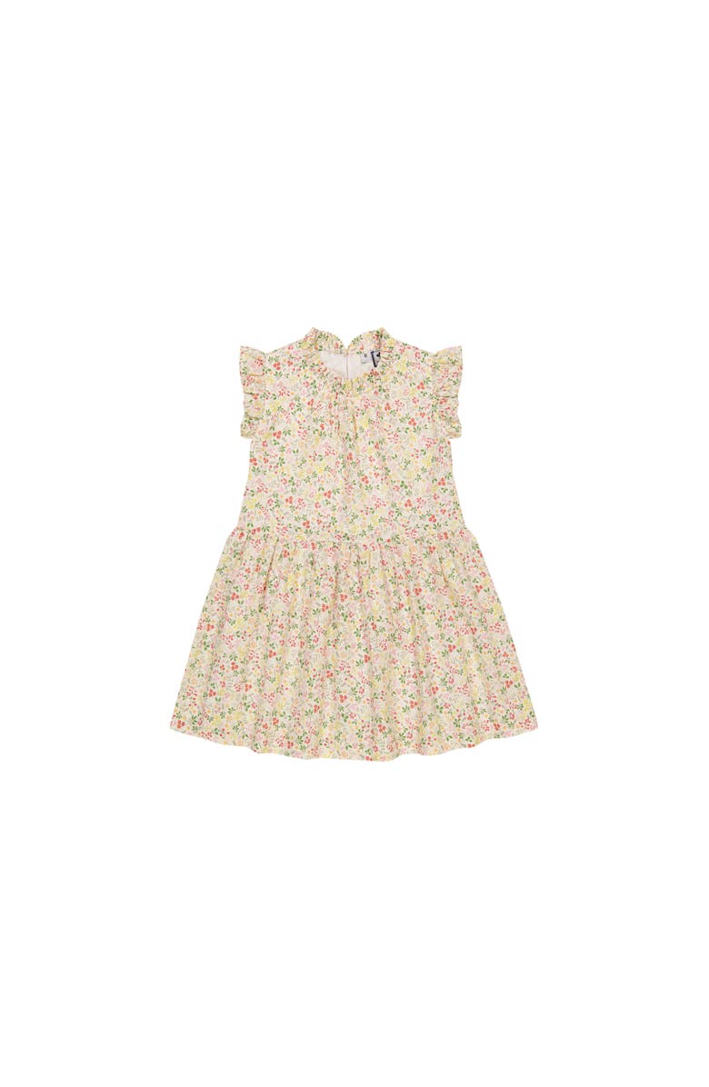 Busy Bees Kinsley Dropwaist Dress, Main, color, 