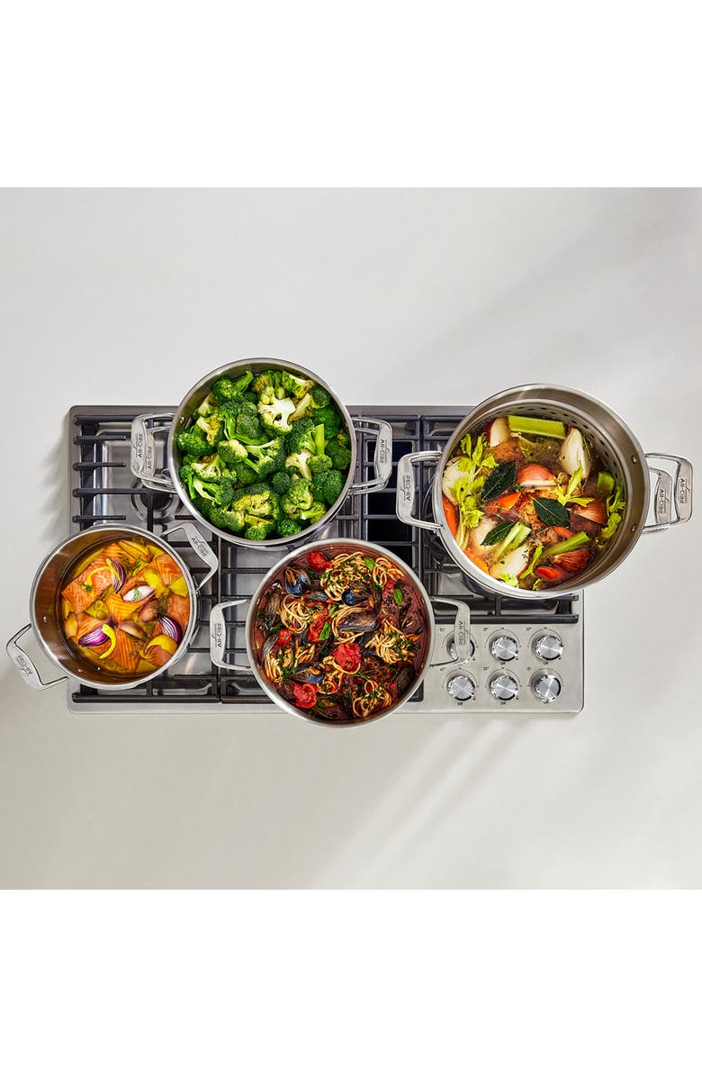 All-Clad Simply Strain 6-Quart Multipot with Strainer Lid, Alternate, color, Silver