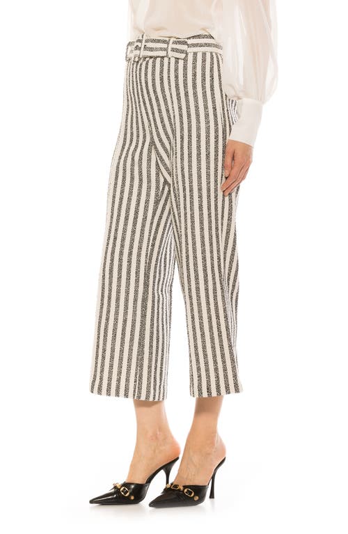 Alexia Admor Caden Tweed Wide Leg Pants In Navy Stripe