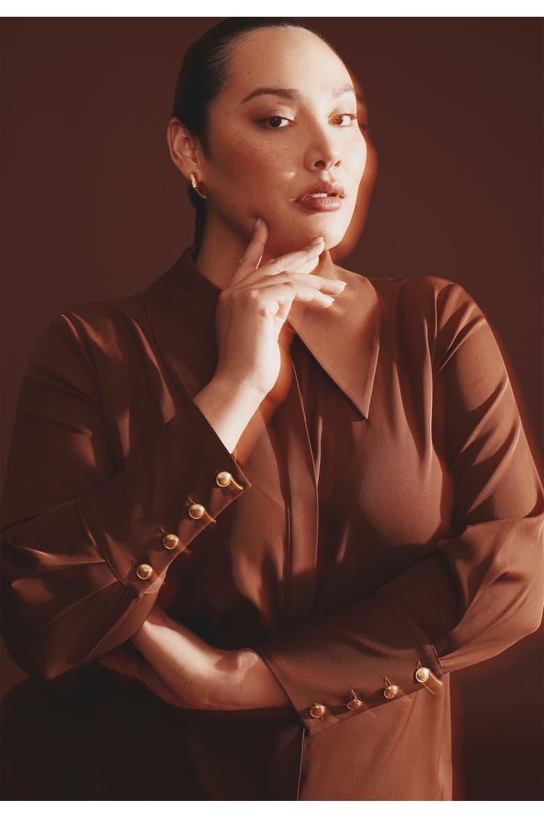 Pointed Collar Button Up Shirt, Alternate, color, CARAFE