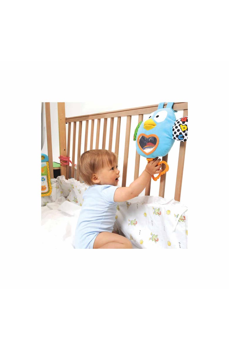 Brilliant Beginnings Teaching Talking Owl, 6 Months+, Alternate, color, Multicolored