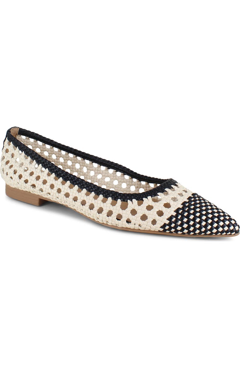 Splendid Nelly Pointed Toe Flat, Main, color,