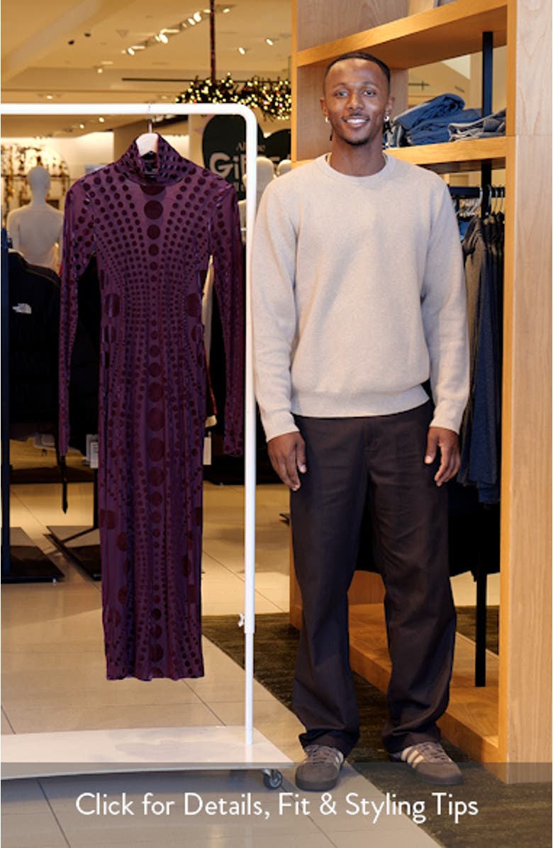 Shailene Long Sleeve Burnout Velvet Dress, sales video thumbnail